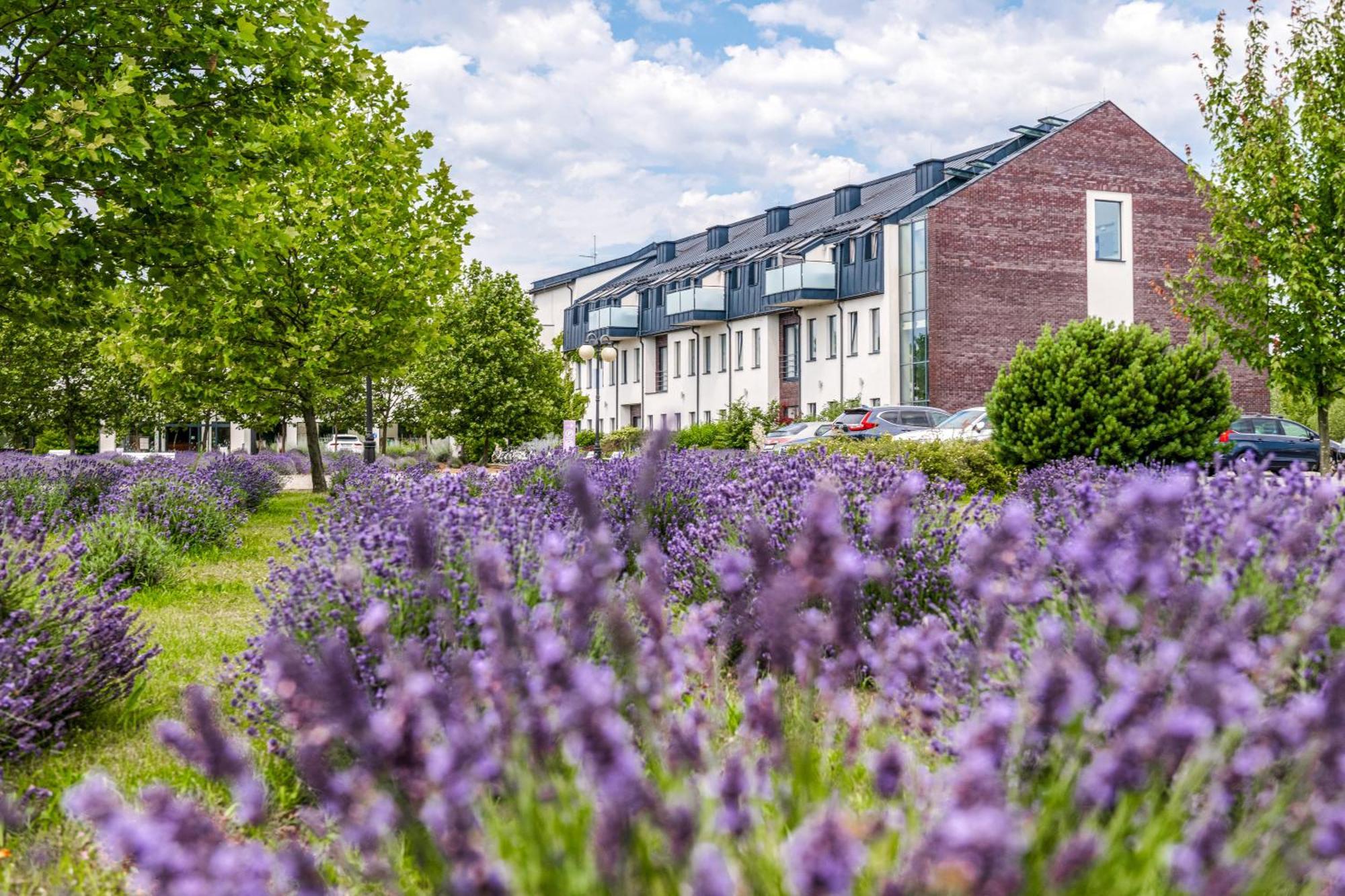 Hotel Lawendowe Termy Uniejów Exterior foto